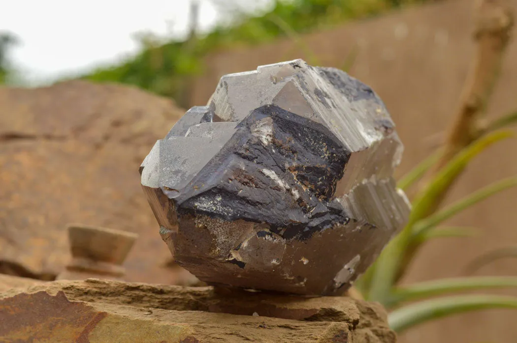 Natural Large Smokey Quartz Crystal x 1 From Mt. Mulanje, Malawi