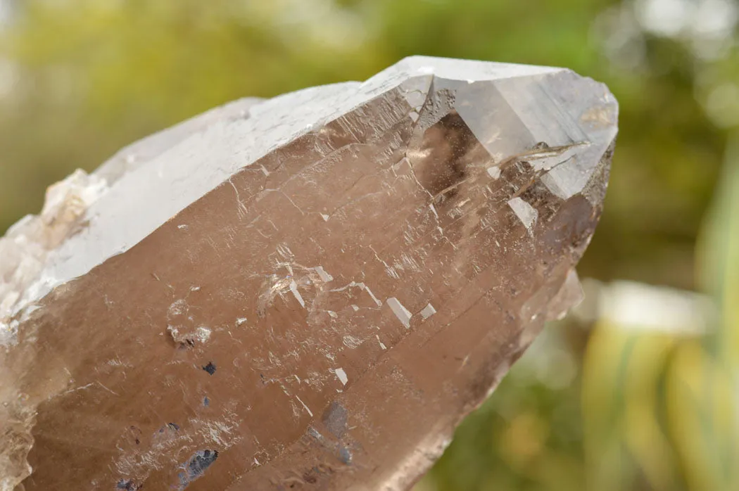 Natural Large Smokey Quartz Crystal x 1 From Mt. Mulanje, Malawi