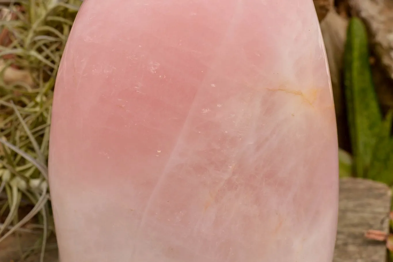 Polished Extra Large Stunning Rose Quartz Standing Display Free Form x 1 From Madagascar