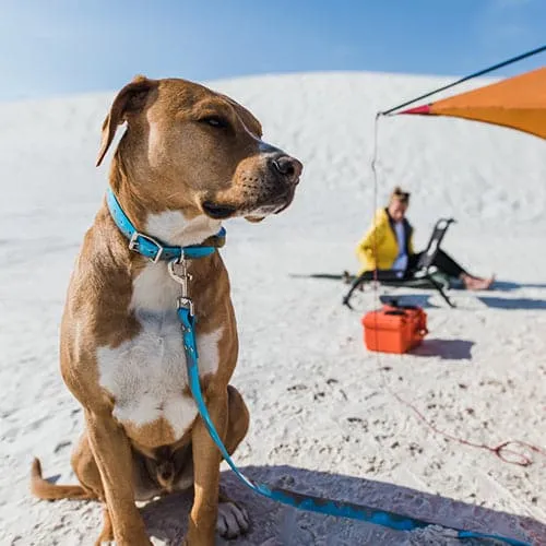 Waterproof Dog Leash