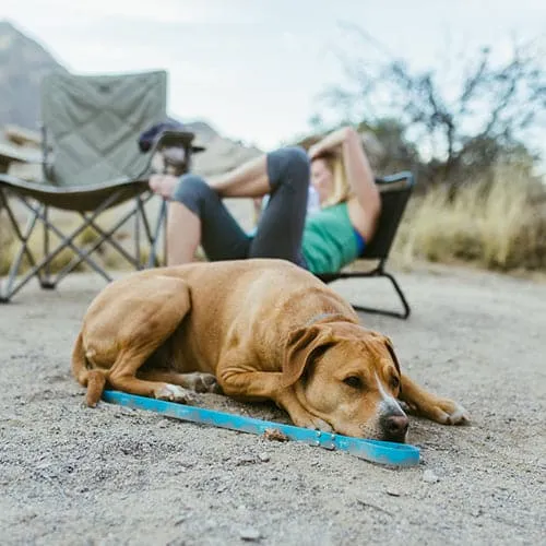 Waterproof Dog Leash