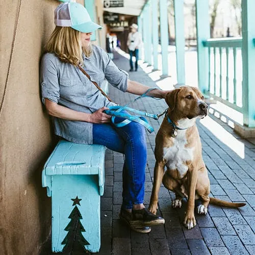 Waterproof Dog Leash
